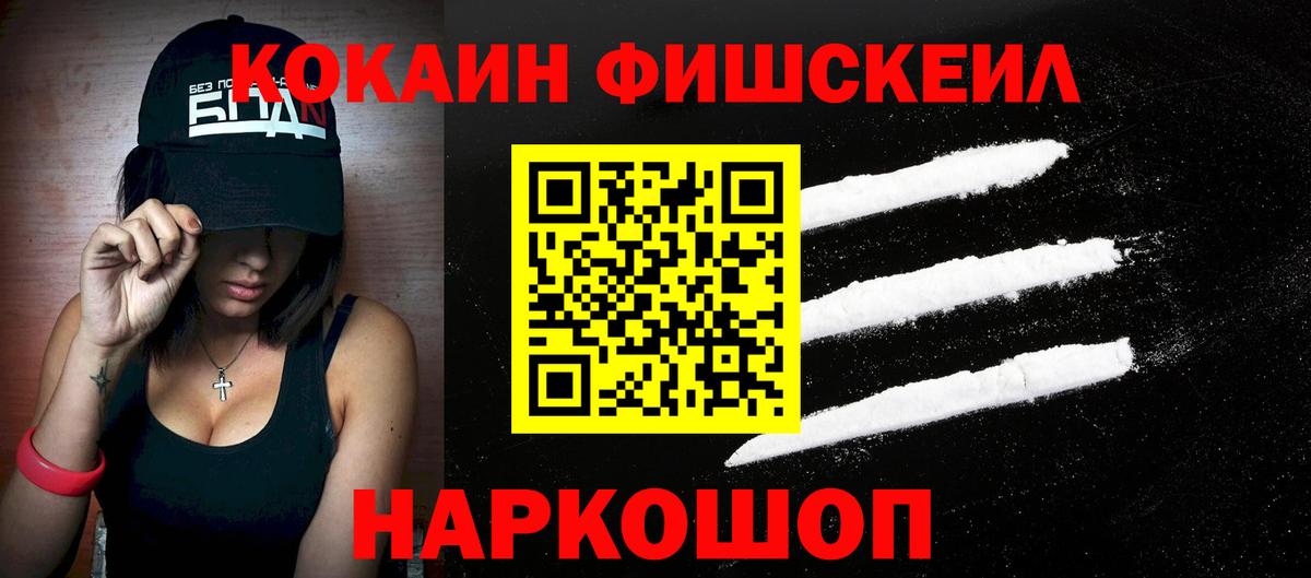 COCAIN Fish Scale  купить  сайты  Вход с VPN  Камышлов  COCAIN FishScale 