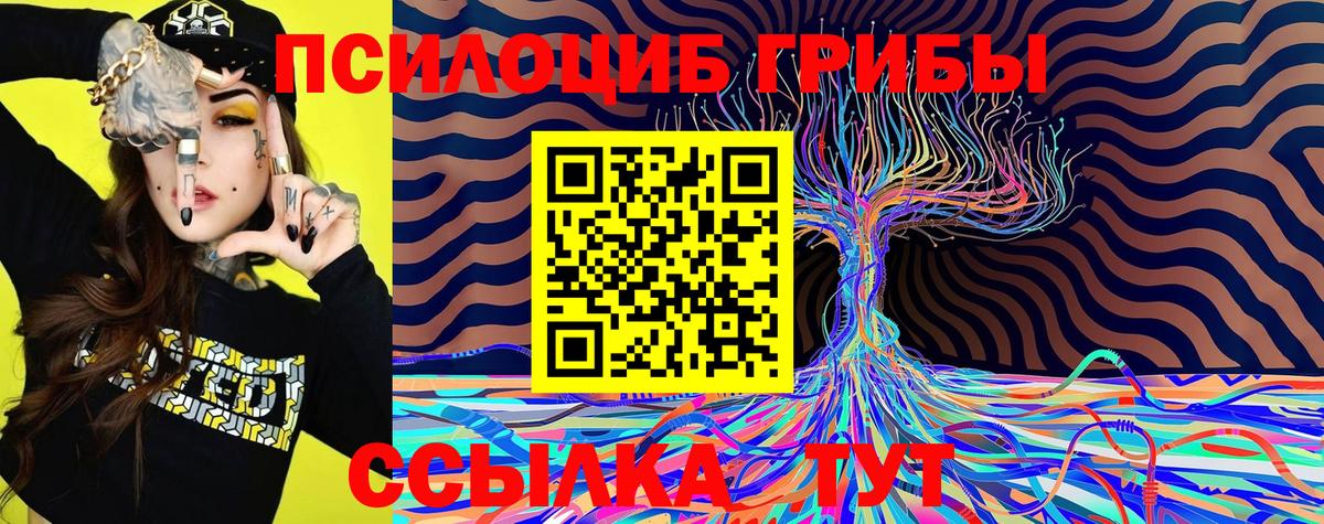 Галлюциногенные грибы GOLDEN TEACHER  Вход с VPN  Камышлов 