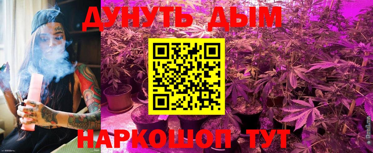 Каннабис Amnesia Камышлов